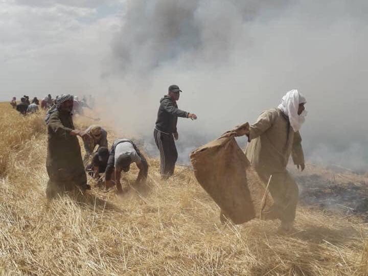 Les terroristes du YPG/PKK, brûle des terres agricoles arabes en Syrie