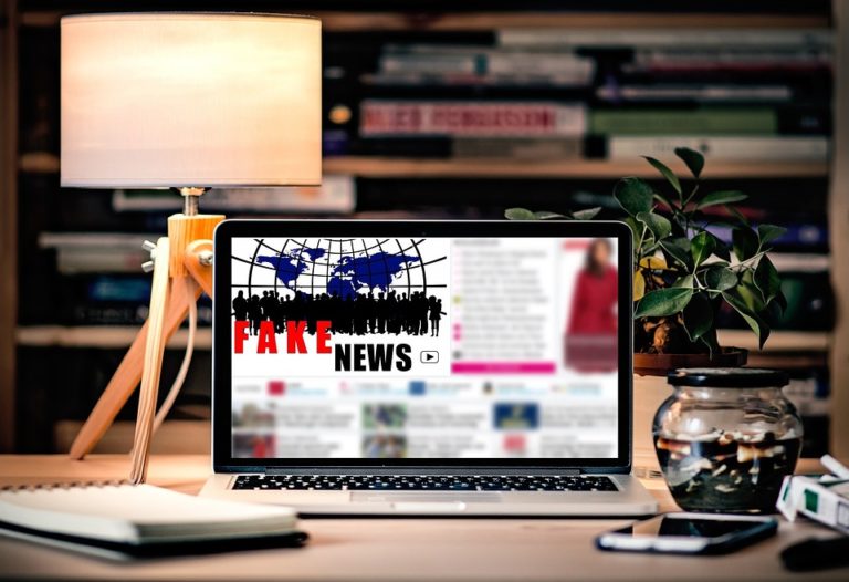 loi fake news