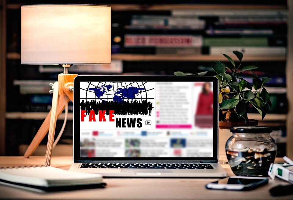 loi fake news