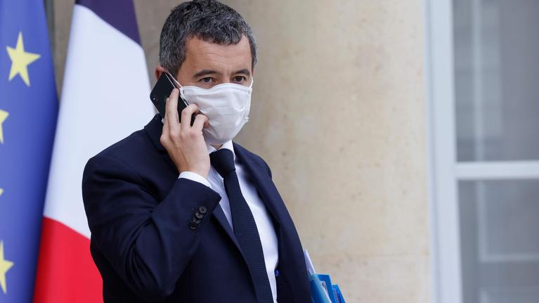 darmanin loups gris