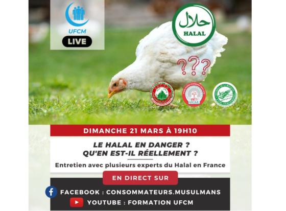 poulet abattage halal