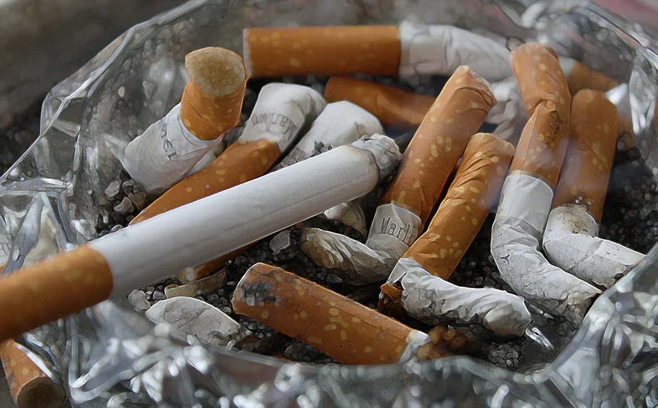 contrebande de cigarettes