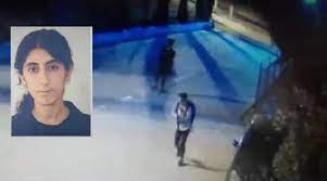 dilshah ercan PKK